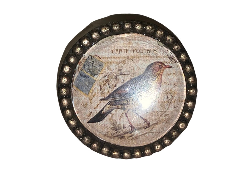 French Inspired Sparrow Knob